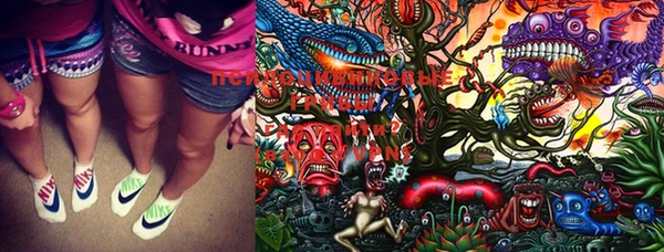 крисы Наволоки