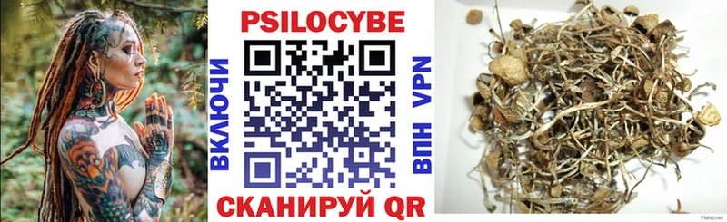 Купить закладки  Шимановск  Псилоцибиновые грибы Psilocybine cubensis 